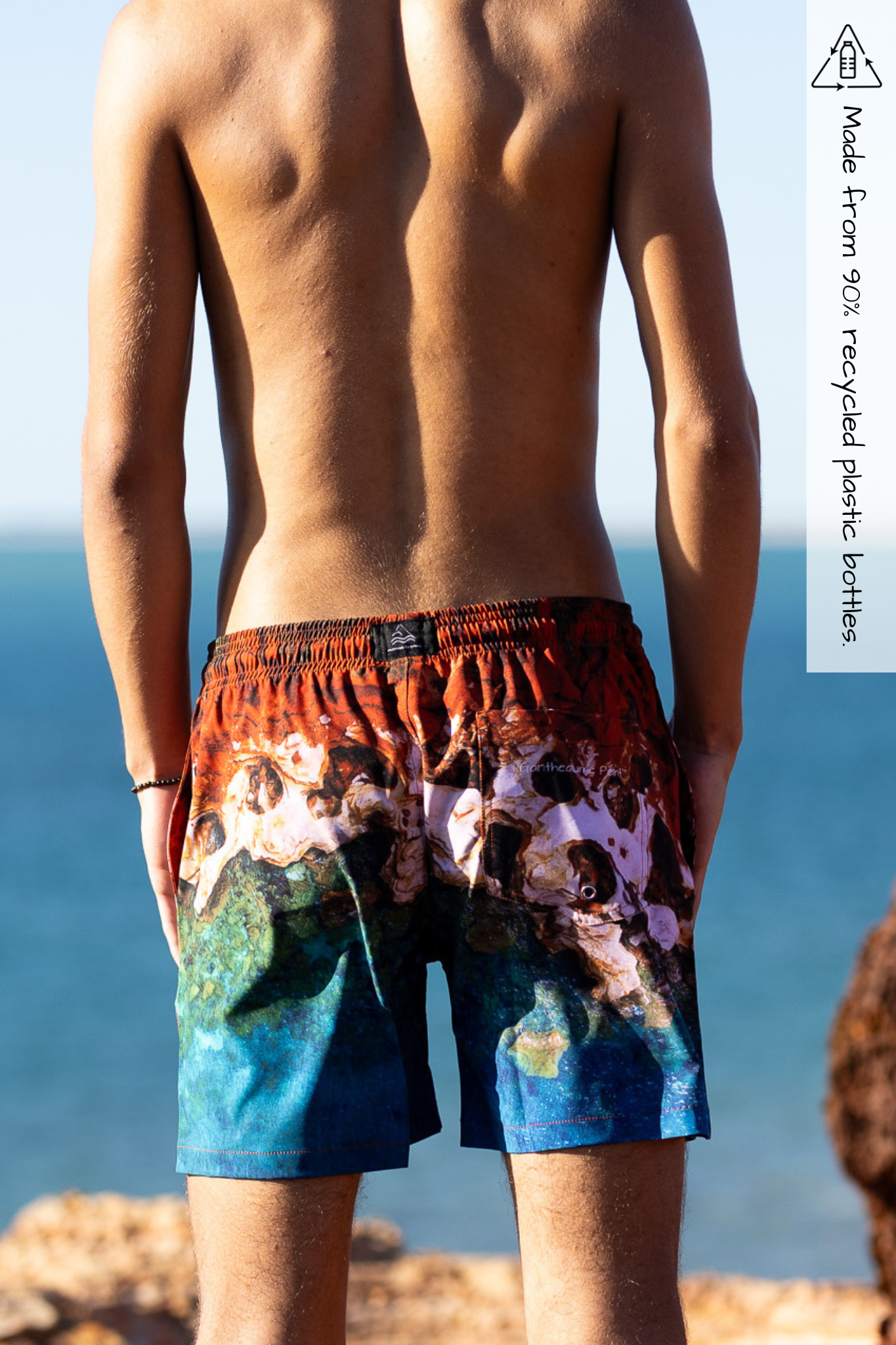 Gantheaume Point mens recycled photo on boardshorts