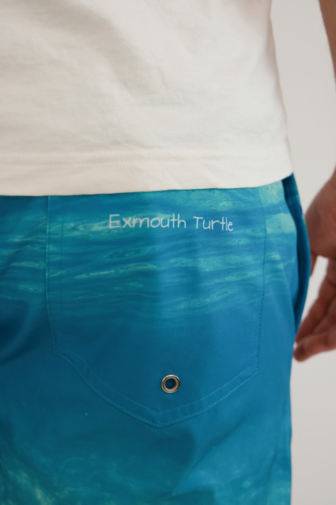 Exmouth Turtle