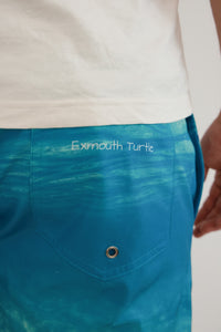 Exmouth Turtle