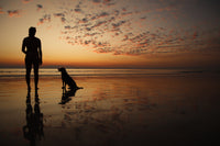 Cable Beach Sunset