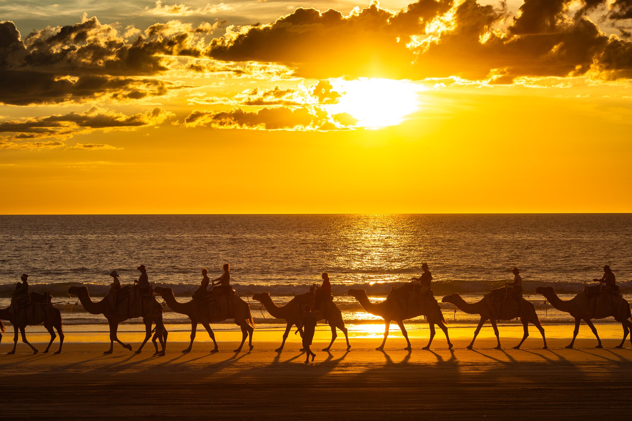 Cable beach camel ride at sunset in Broome WA