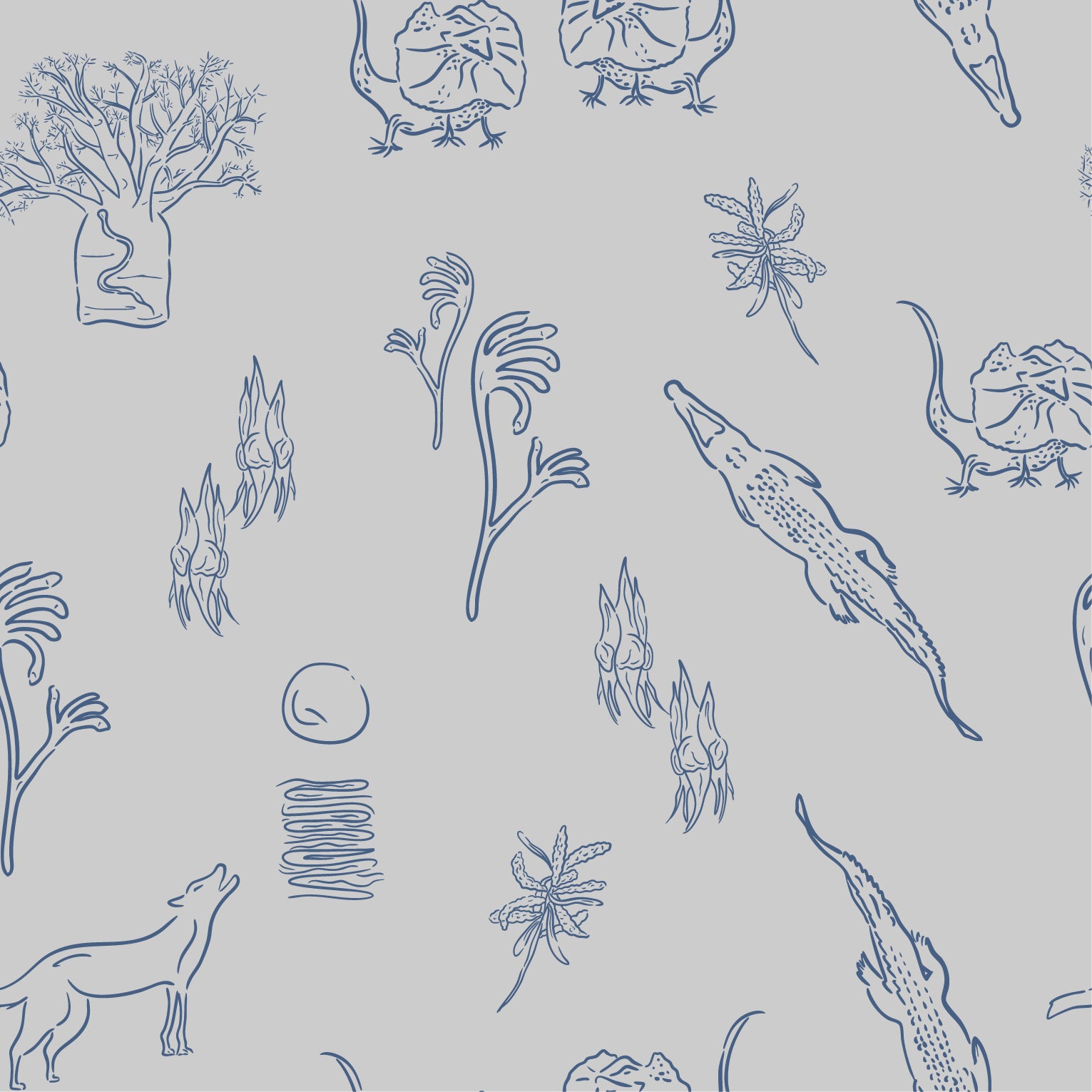 Iconic Kimberley Shirt III