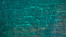 Ningaloo reef in Western Australia