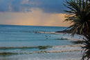 Kids Noosa