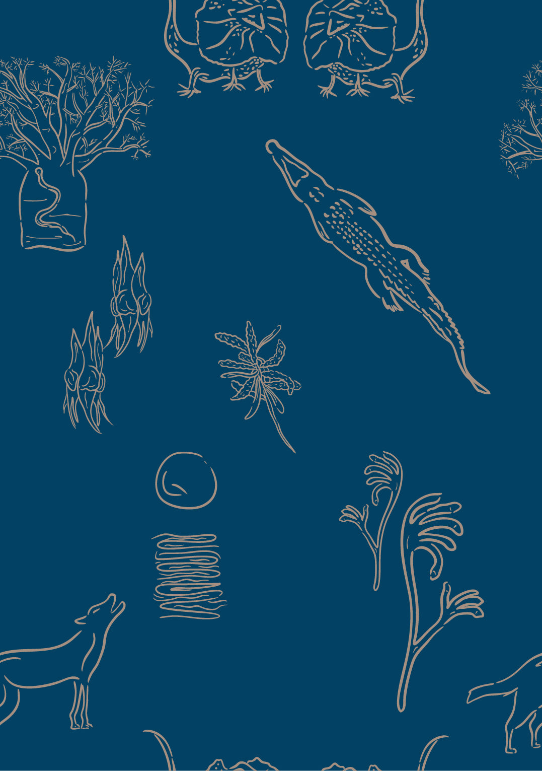 Iconic Kimberley Shirt III