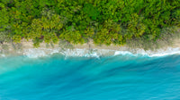 Port Douglas photo in Queensland for inspiration for mens and kids boardies