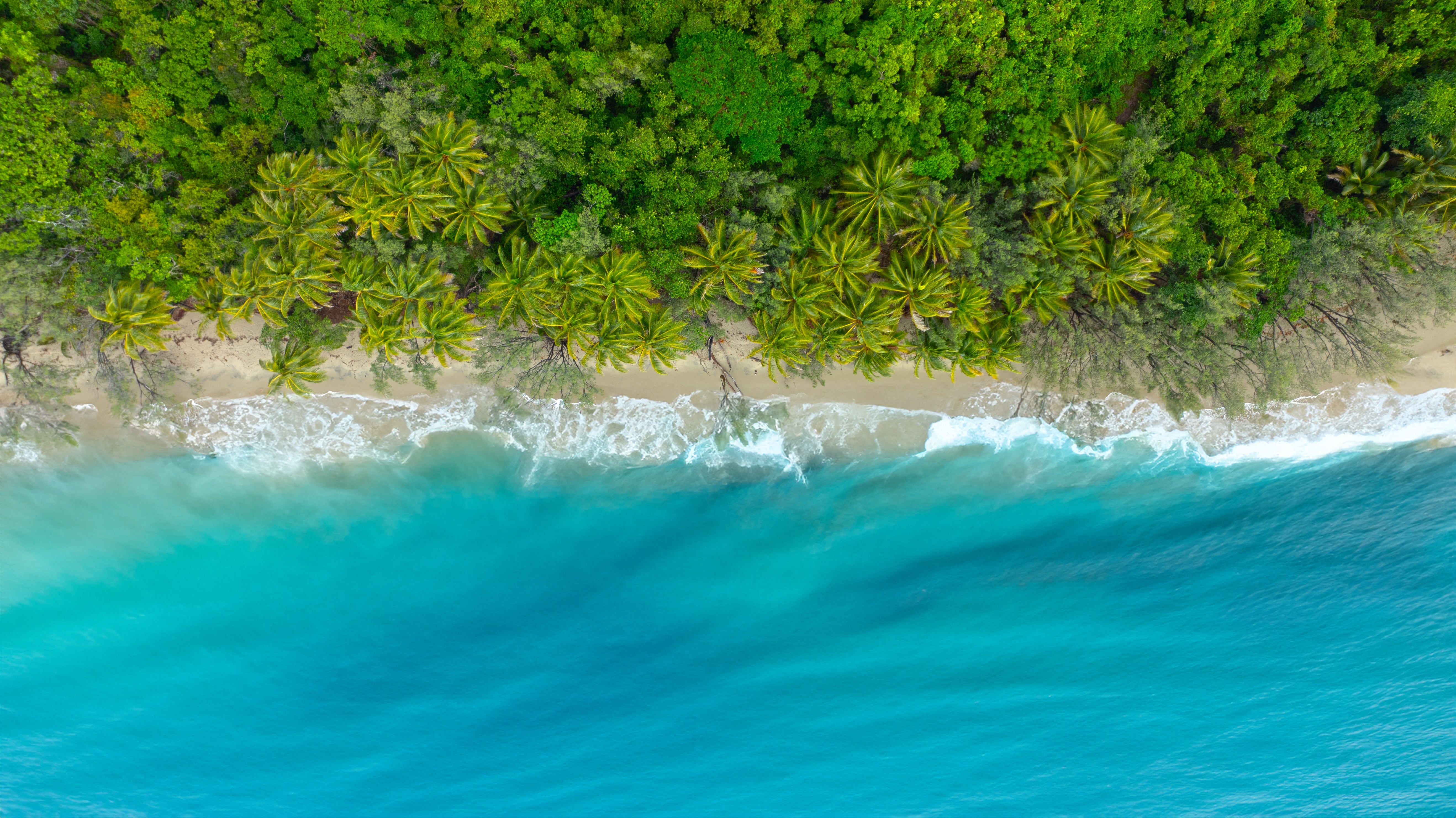 Port Douglas photo in Queensland for inspiration for mens and kids boardies