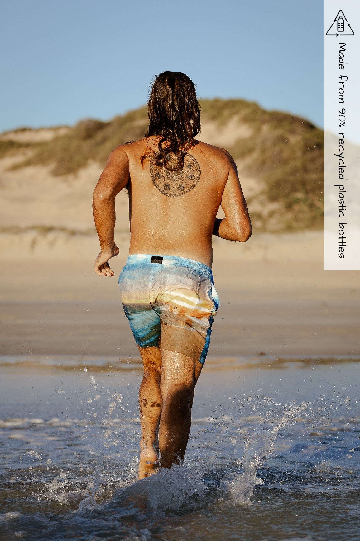 Sorus 12 Apostles recycled mens boardshorts - back