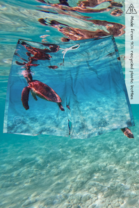 Sorus kids Exmouth Turtle recycled boardshorts