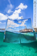 Sorus kids Pinkys Rottnest Island recycled boardshorts 