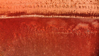Wildthing Red Sands surf short